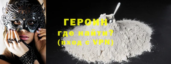 гидра Ельня