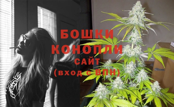 амф Дмитровск