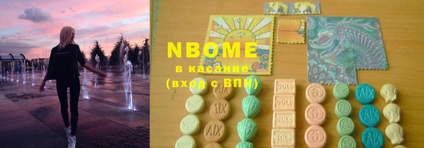 гидра Нестеровская