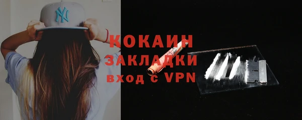 гидра Нестеровская