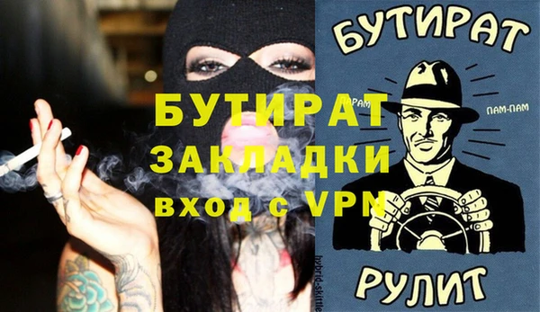 гидра Нестеровская