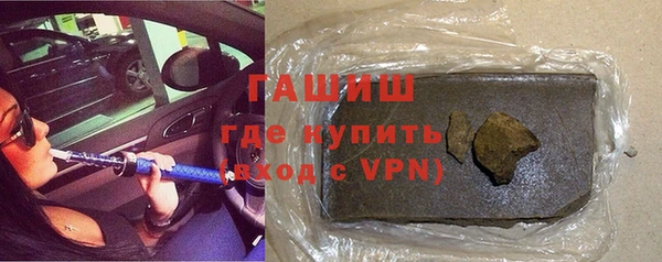 гидра Ельня